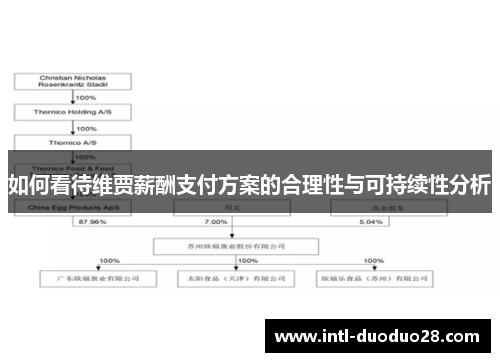 如何看待维贾薪酬支付方案的合理性与可持续性分析