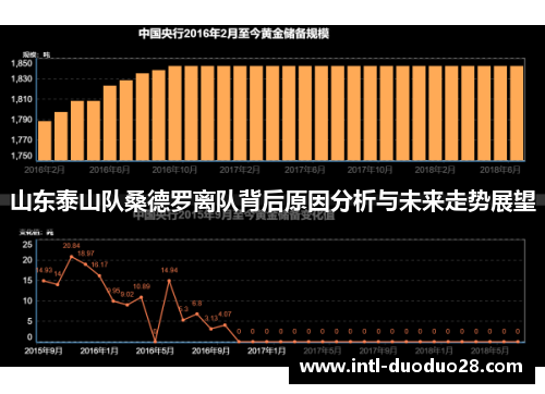 山东泰山队桑德罗离队背后原因分析与未来走势展望