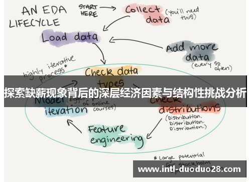探索缺薪现象背后的深层经济因素与结构性挑战分析