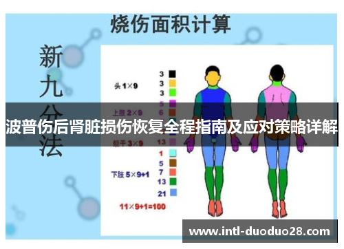 波普伤后肾脏损伤恢复全程指南及应对策略详解