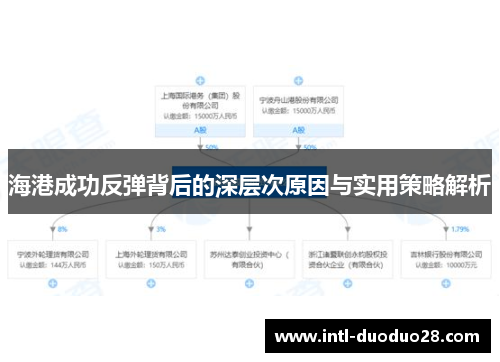 海港成功反弹背后的深层次原因与实用策略解析