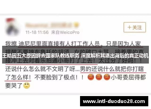 王皓因五大原因辞去国家队教练职务 深度解析其退出背后的真正动机