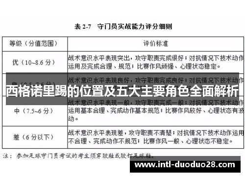西格诺里踢的位置及五大主要角色全面解析