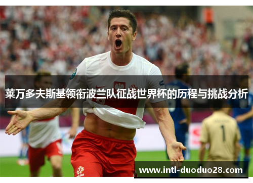 莱万多夫斯基领衔波兰队征战世界杯的历程与挑战分析