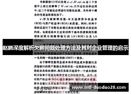 赵鹏深度解析欠薪问题处理方法及其对企业管理的启示